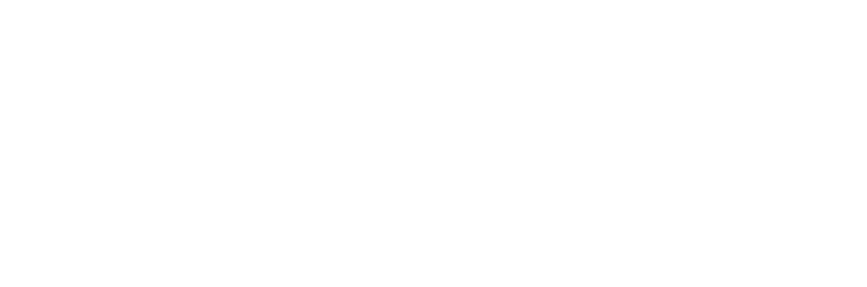 Divesoft