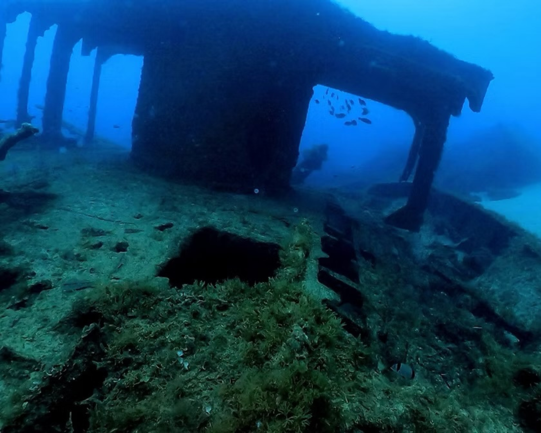 HMS Maori Wreck