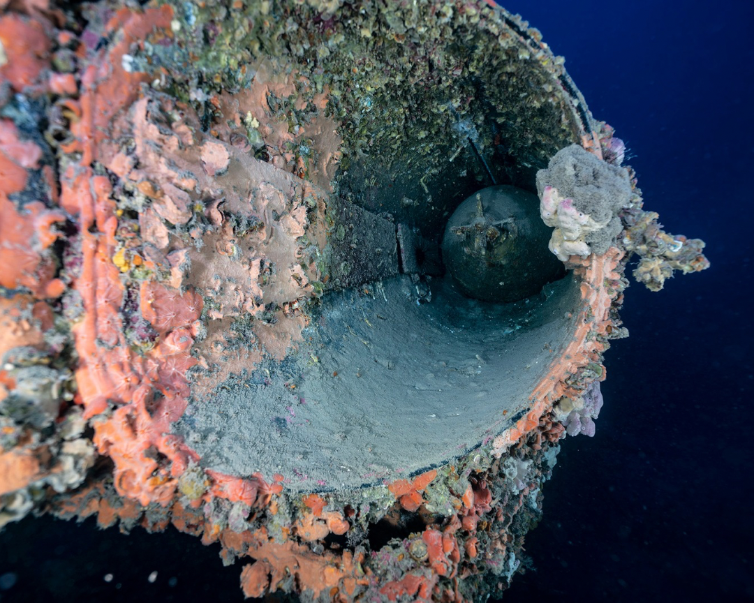 Schnellboot S-31 Wreck