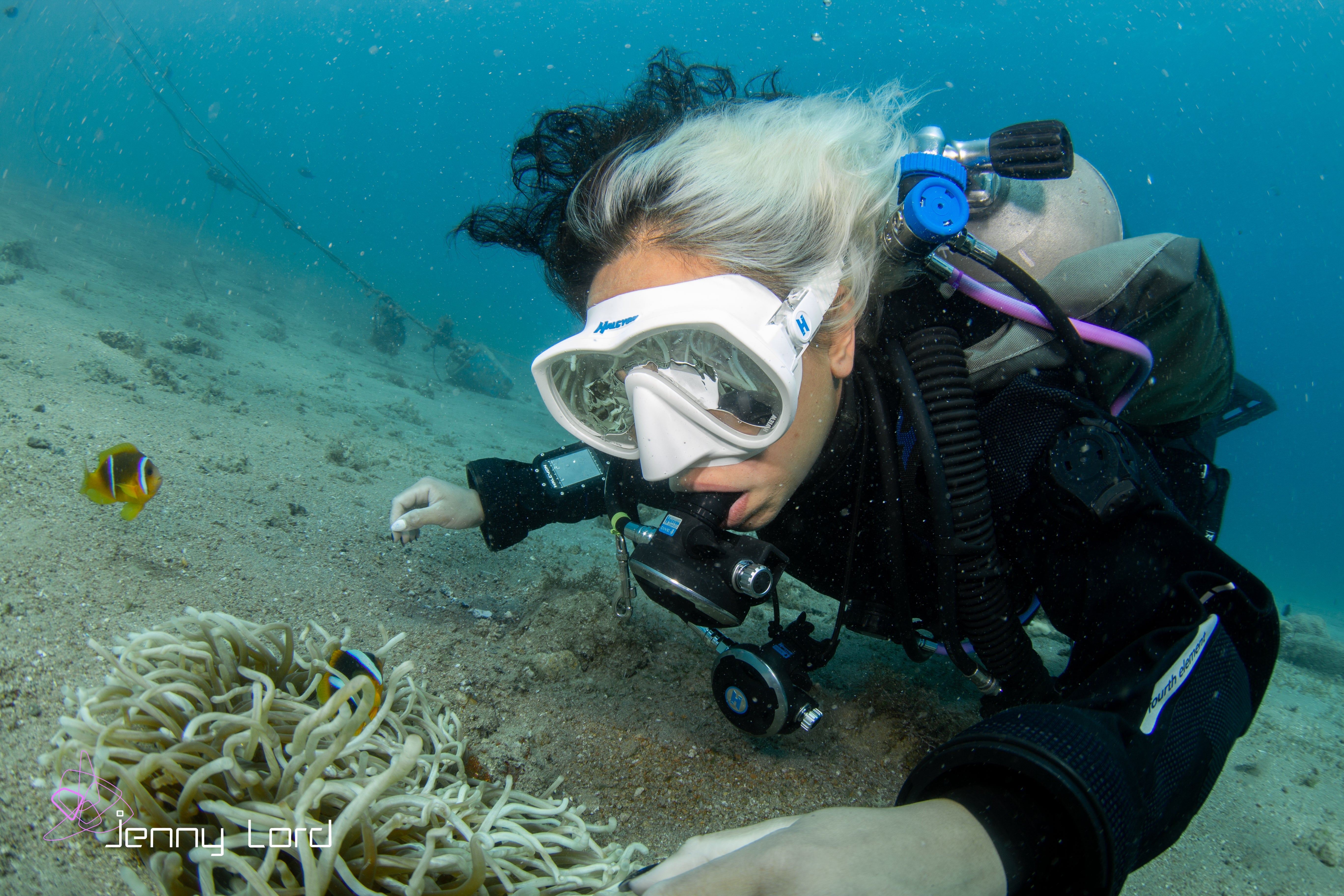 Pleasure Diving