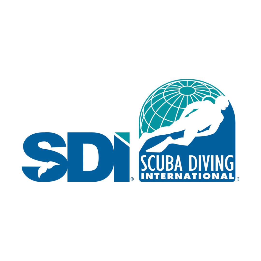 SDI Courses