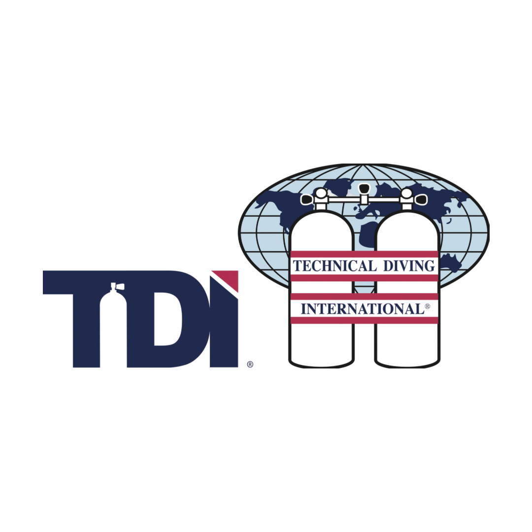 TDI Courses