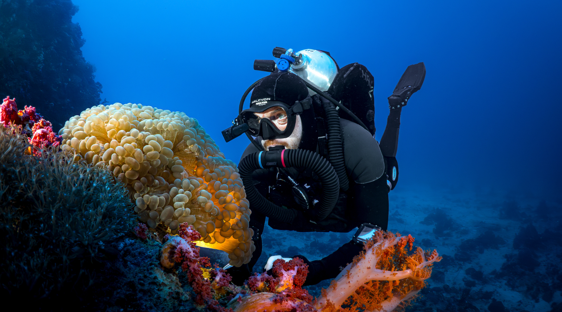 Diver with Halcyon Rebreather underwater with coral underwater