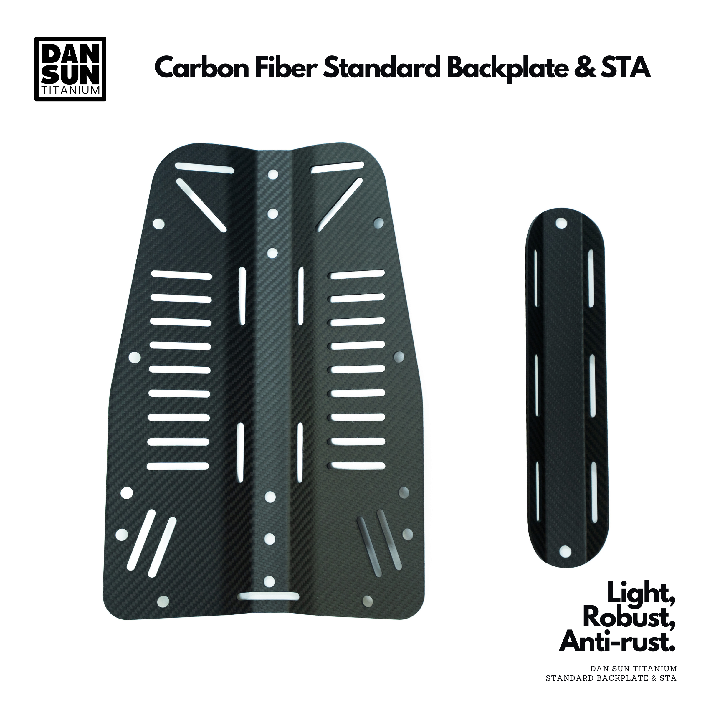 DanSun carbon fibre standard backplate and STA
