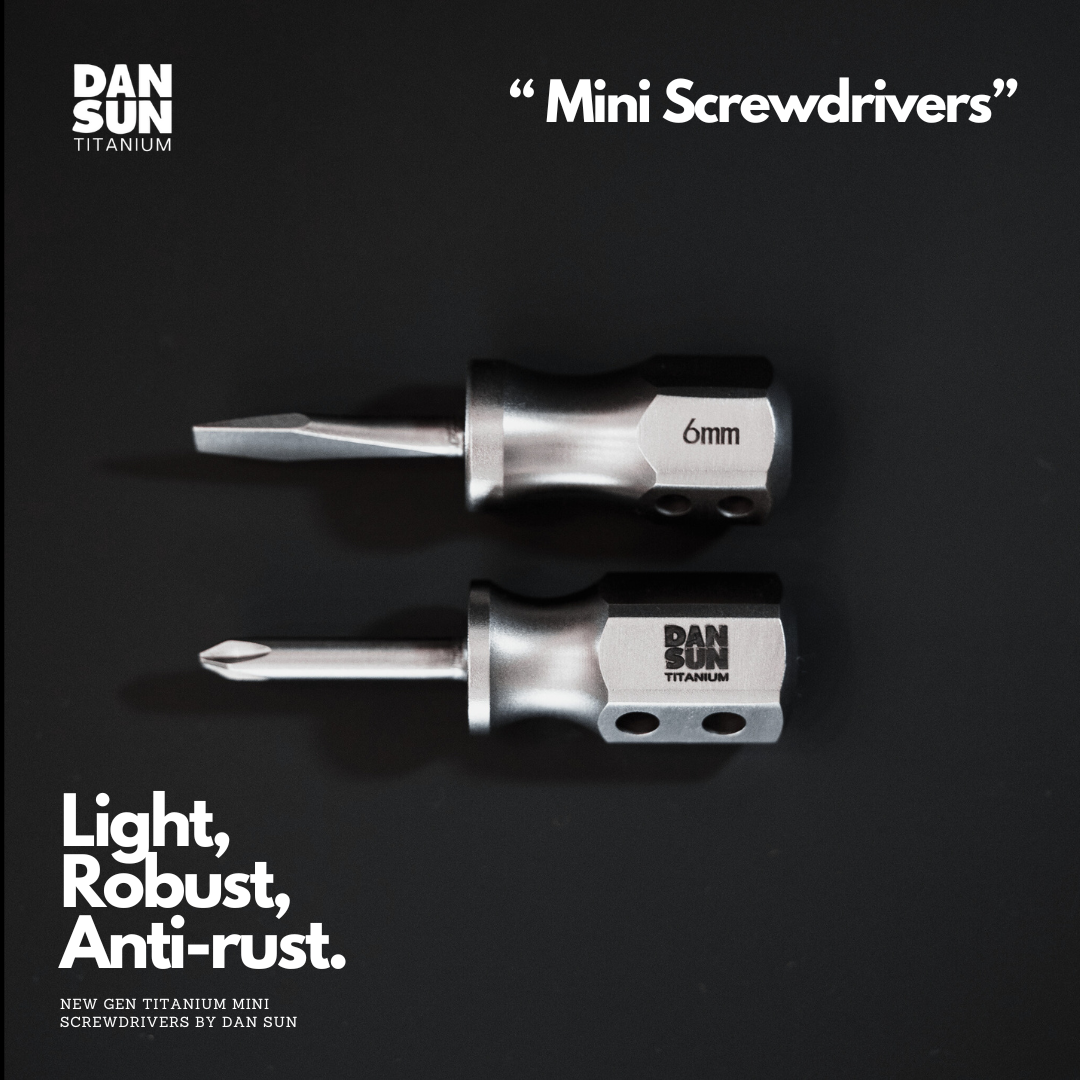 Slotted 6 mm and Phillips PH2 titanium mini screwdrivers