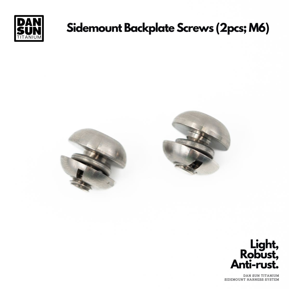 Two DanSun titanium M6 sidemount backplate screws