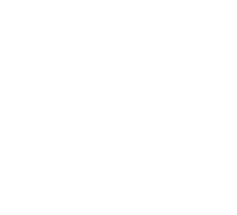 DanSun Titanium