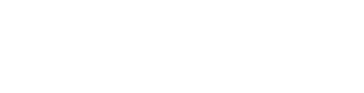 Fourth Element