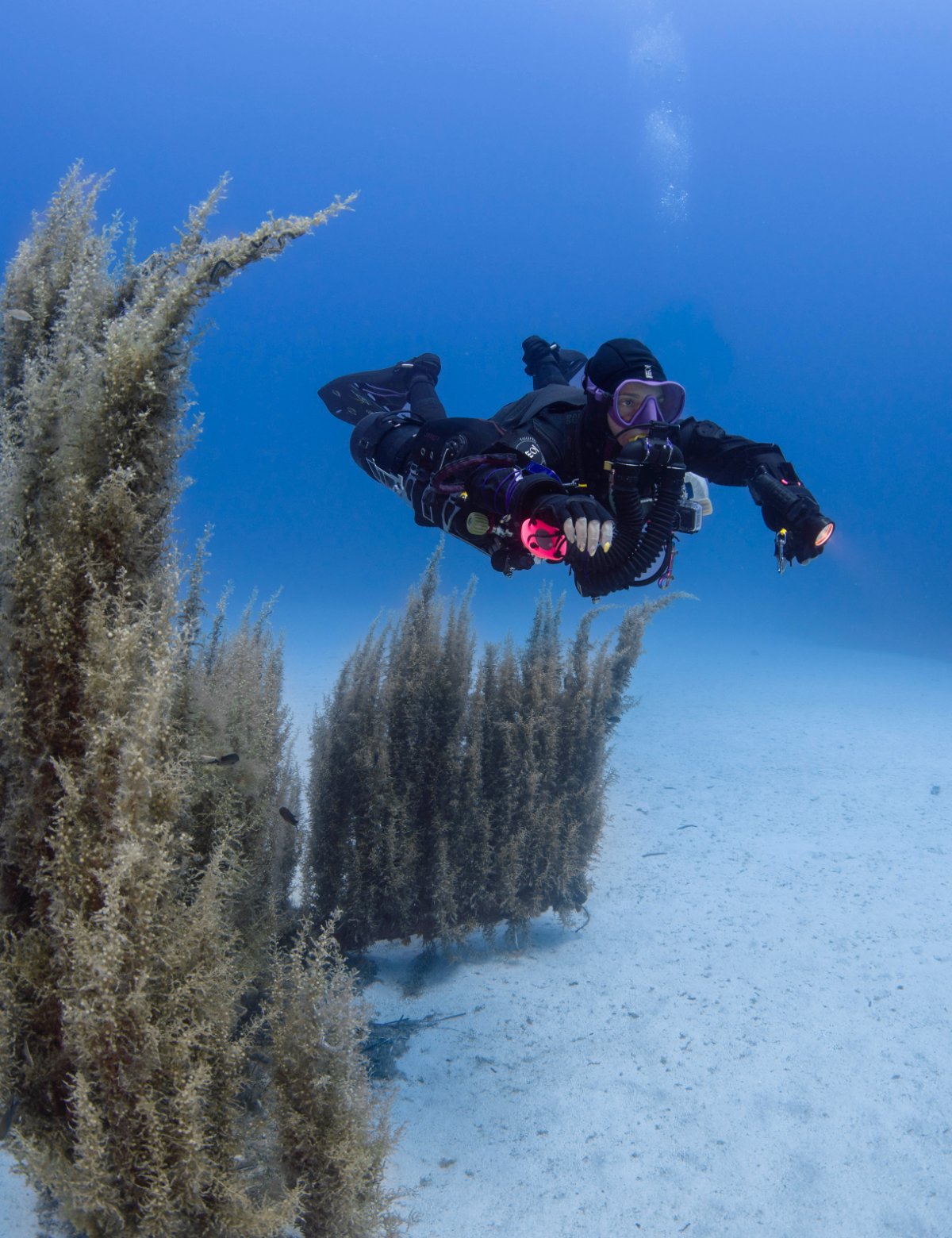 Liberty Sidemount MOD1