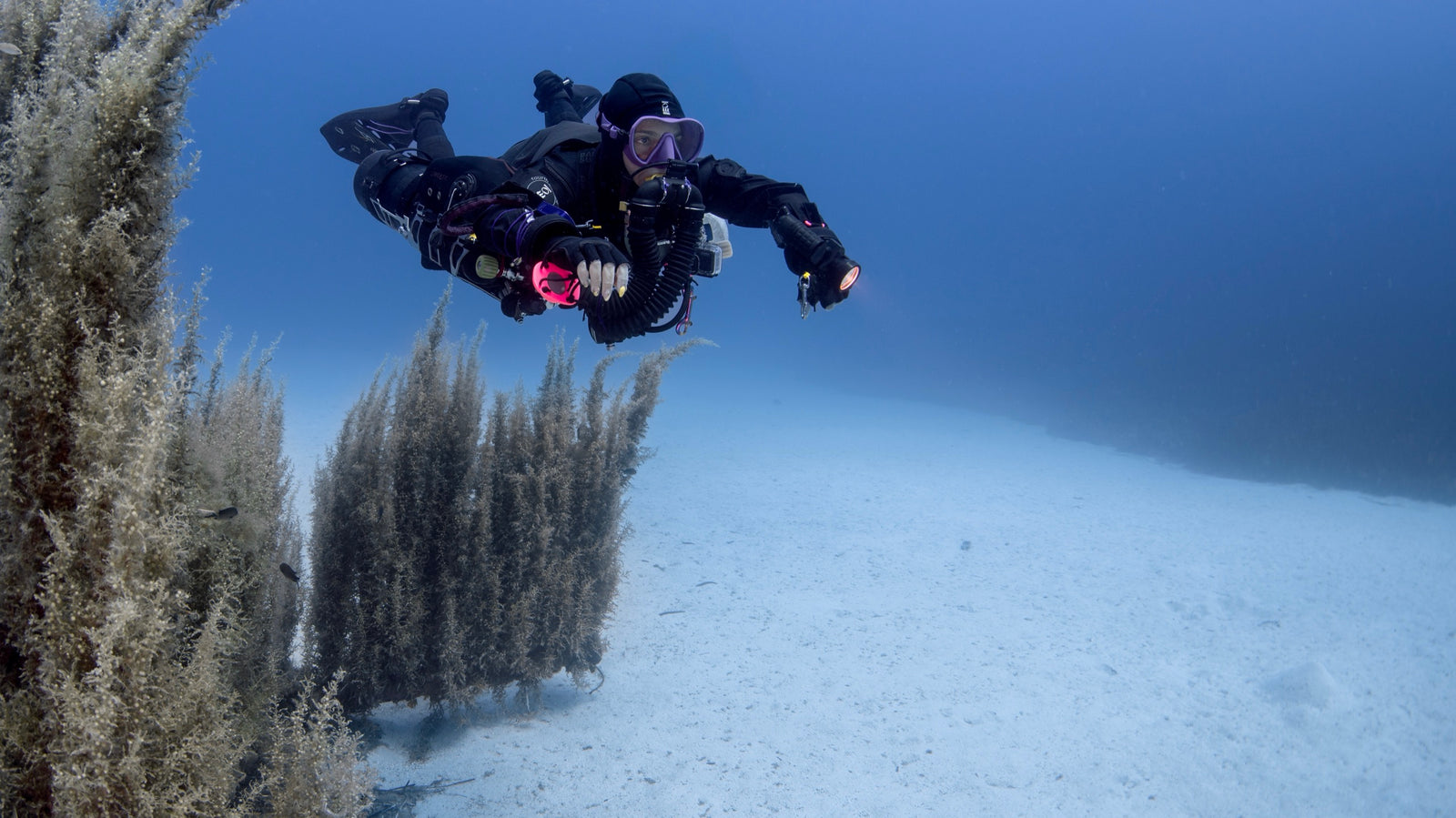 Technical diver on a sidemount rebreather gliding past tall seaweed over white sand
